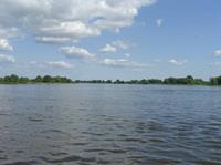 Elbe