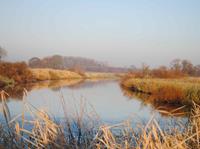 Elbe-Seitenarm im Winter